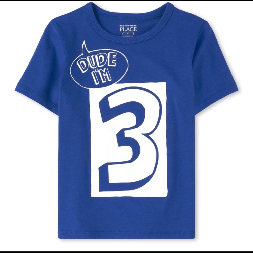 “Dude I’m 3” 3rd Birthday Graphic Tee Sz 2T